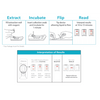 Lifesign Status™ Flu A+B Test